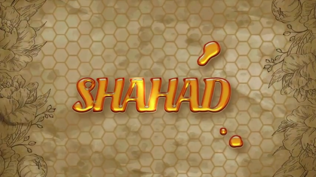 Shahad P02 Hot Hindi Web Series – ULLU